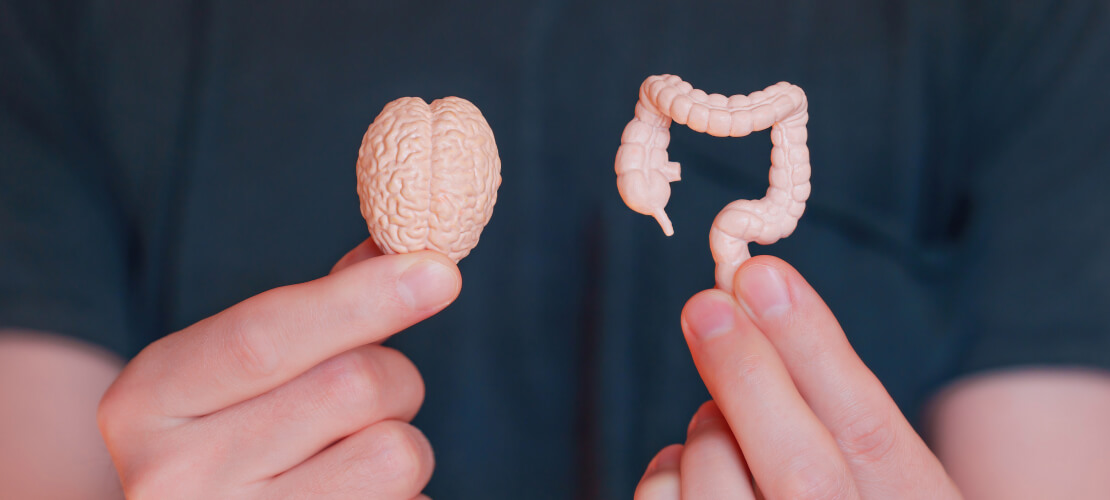 Gut-Brain Axis: Impact of Gut Health on Mental Wellness