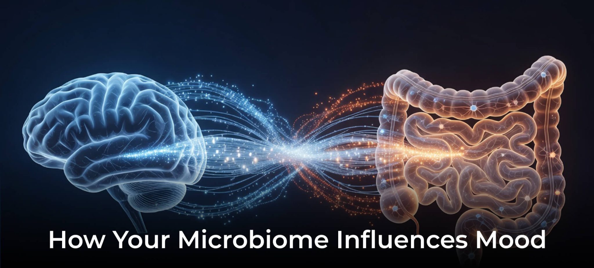 Gut-Brain Axis Explained: How Your Microbiome Influences Mood