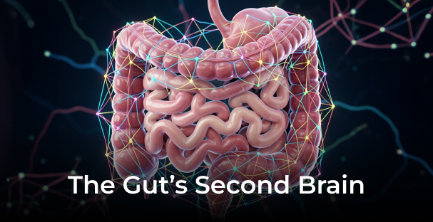 Gut's second brain