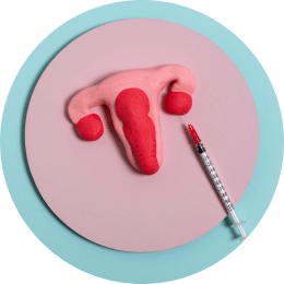 Gut Microbiome Test